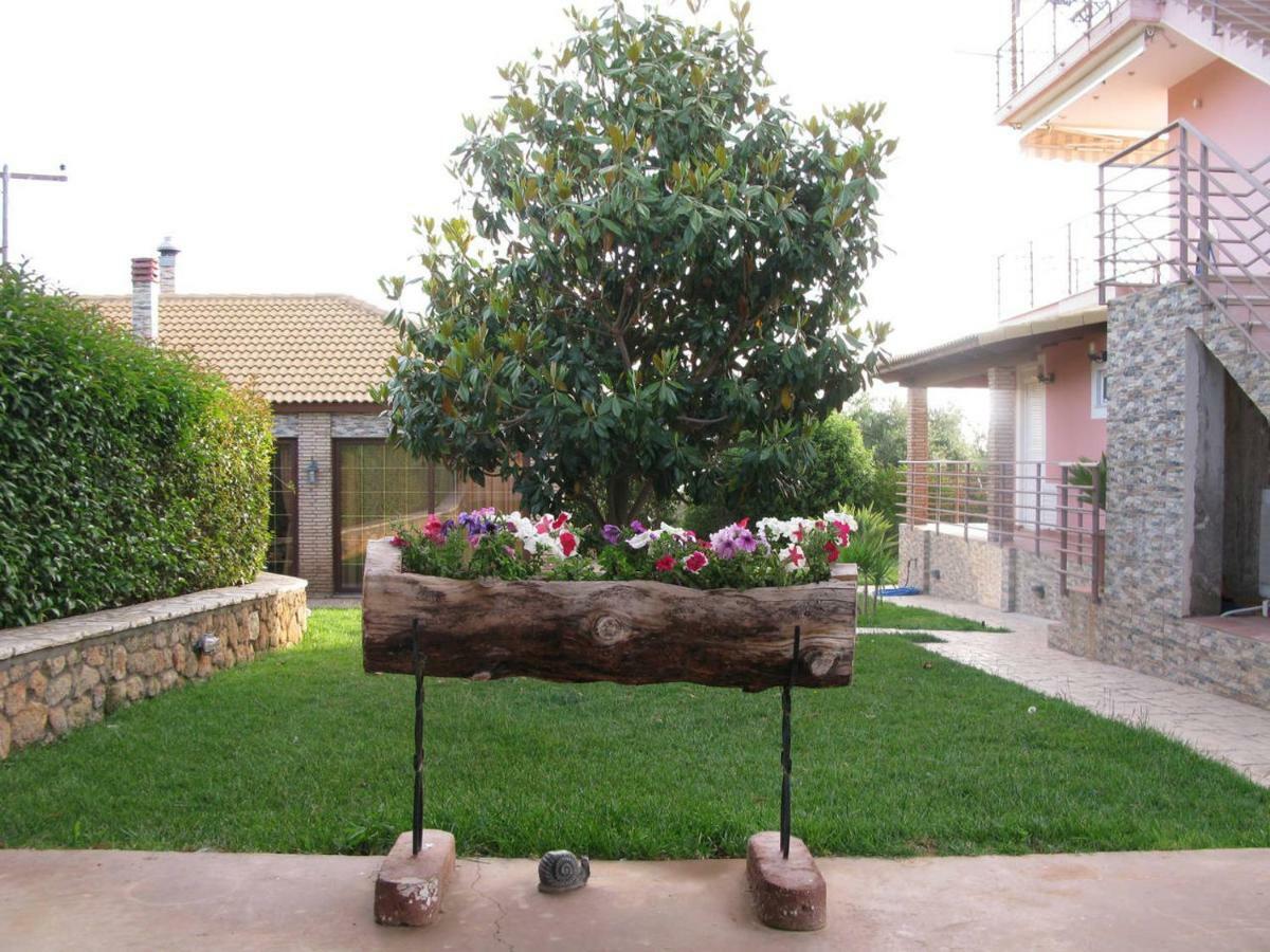 Cozy Flats In An Olive Grove By The Sandy Beach Kánalos Kültér fotó